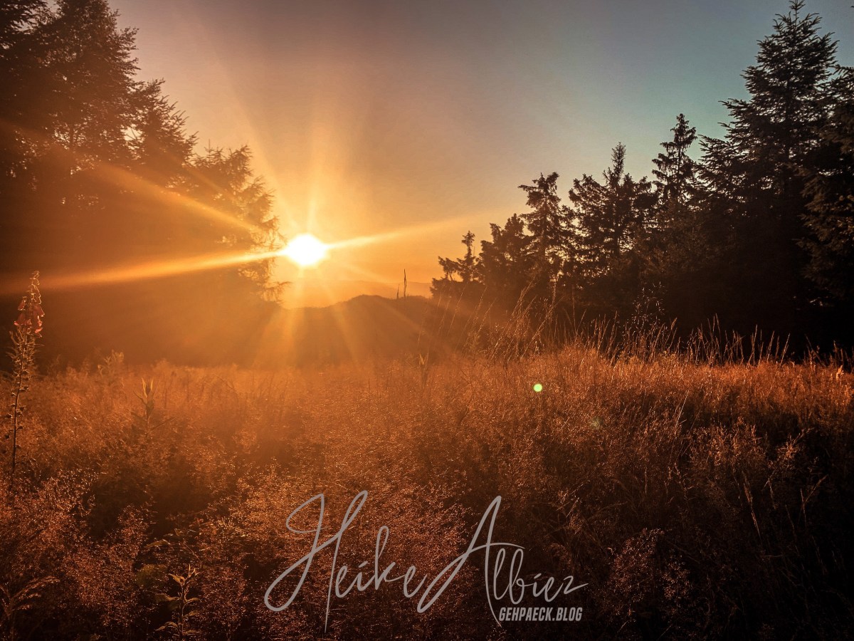 Schritt für Schritt durch die Heimat- das Ziel vor Augen&nbsp;(1)